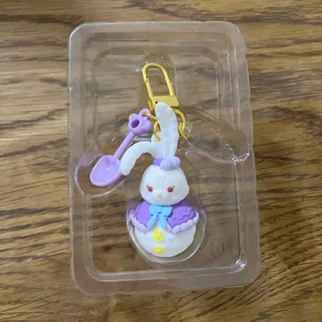 스텔라루 윈터 참