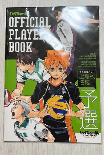 하이큐전 팜플렛