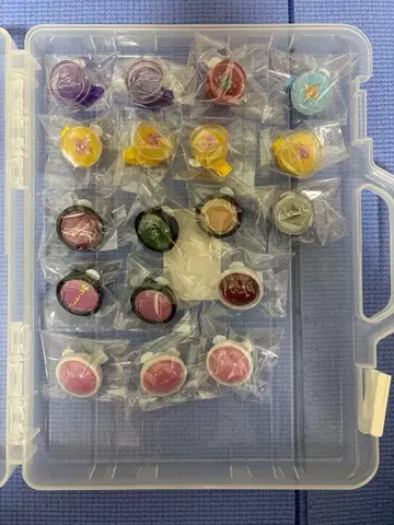 앙스타 스타라이 린라이 레이 호박 마다라 토모야 케이토 이바라