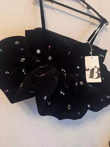 Bibiy. B. STARRY BUSTIER