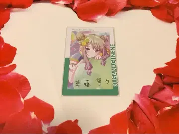 프로세카 에피카 금박 1B 스마도리 네네