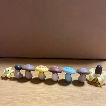 버섯 잉꼬 바나나 잉꼬 세트