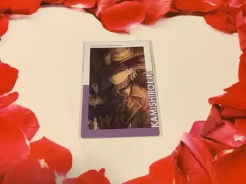 프로세카 에피카 금박 13A 흑백합 루이