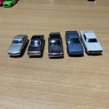 하코스카 미니카 로럴 미니카