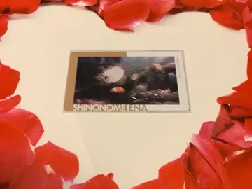 프로세카 에피카 금박 5B 거울 에나