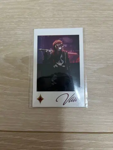 기사X - Knight X - 랜덤 포토카드 바우군