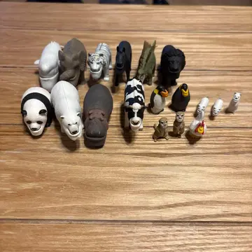 샤크렐 플래닛 캡슐 토이 타카라토미