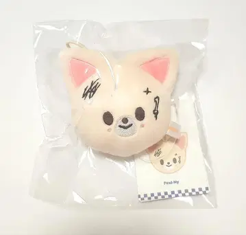 스키즈 KARMA 한국 팝업 네임택 아이엔 폭시니