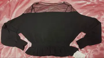 숏 기장 긴팔 니트 시스루