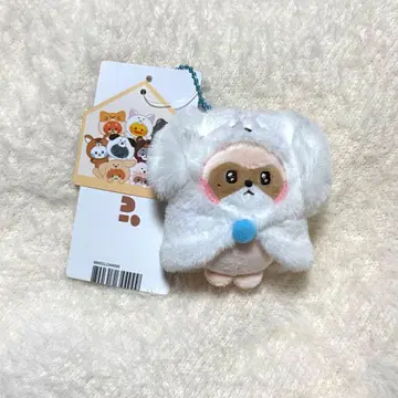 ZEROBASEONE ZERONI 장하오 하니니