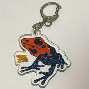 독개구리 개구리 아크릴 키링 키링