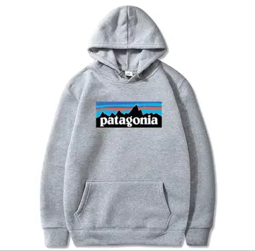 patagonia 그레이 후드 부착 후드티