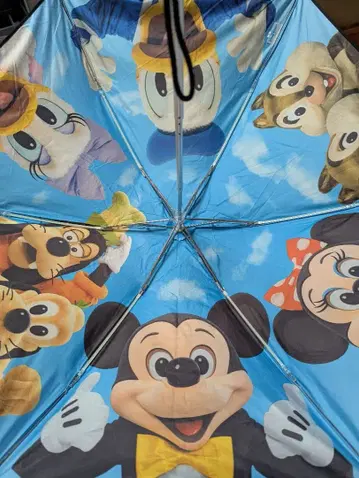 디즈니 실사 우천 겸용 우산 구 페이스
