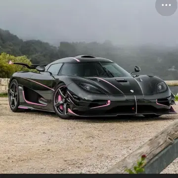 FrontiArt 니그세그 one:1 carbon 핑크 1/18