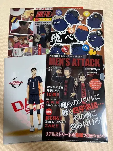 하이큐!! A4 클리어 파일 세트 묶음 판매 카라스노 고교 네코마 고교