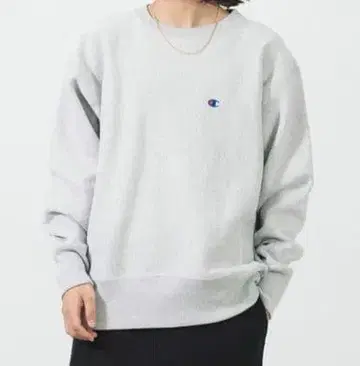 챔피언 리버스 위브 속기모