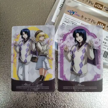 건담 SEED 카가리 아스란 preppy style 캐릭터Pic