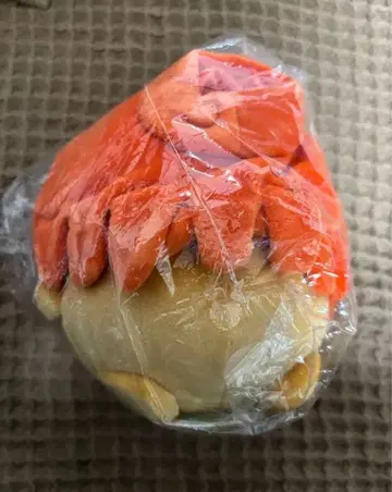 두더지 크로켓 문어 포함 포테타마