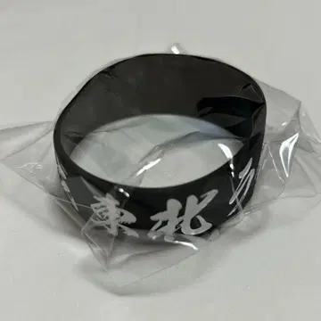 도호쿠 라이브 하우스 대작전 러버 밴드