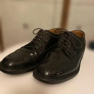 리갈 구구 로고 코도반 풀 브로그