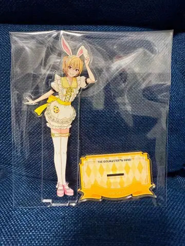 사이조 유리 아크릴 스탠드