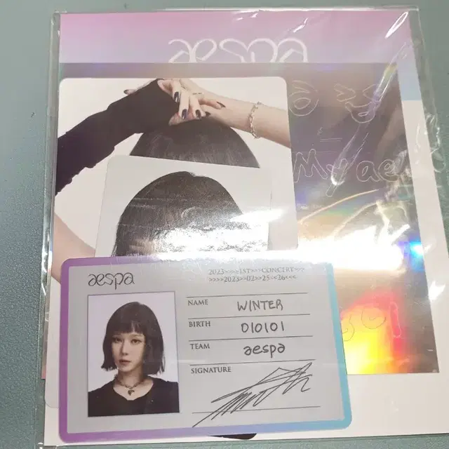 미개봉 에스파 윈터 아이디 카드, 응원봉 데코 스티커 세트