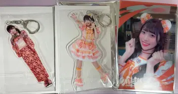 코구마 마무 아크릴 키링 클리어 카드