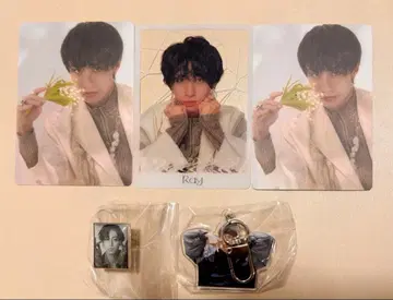 용궁성 Ray 세트