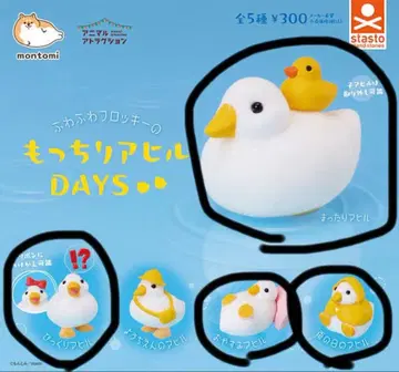 말랑말랑 오리 DAYS 가챠