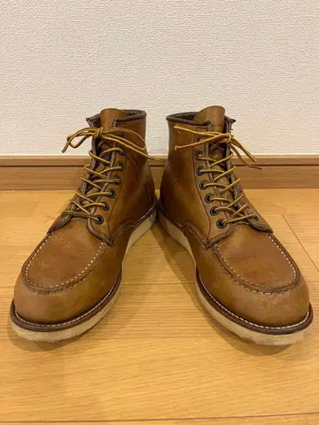 RED WING 875 아이리쉬 세터