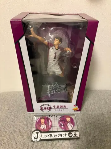 하이큐!! 우시지마 와카토시 피규어 라스트 원