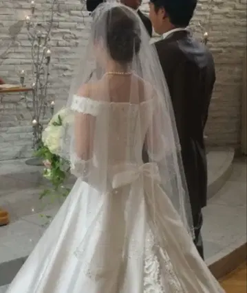 웨딩 드레스용 베일, 베일