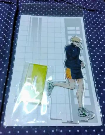 소년 점프 하이큐 츠키시마 케이 신규 일러스트 아크릴 스탠드 굿즈