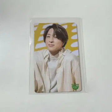 timelesz 트레이딩 카드 카드