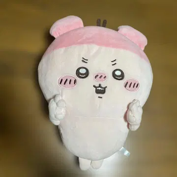 치이카와 돼지 봉제 인형