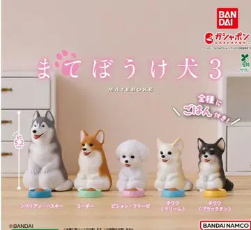 마테보우케견 3-전종 컴플리트 세트