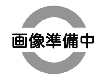 SHAREEF(샤리프) 풀오버 후드티 그린