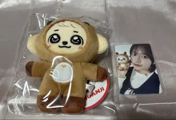 IVE 크리스마스 minive 유진 강안지