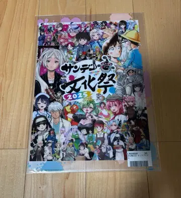 선데이 축제 2025 클리어 파일