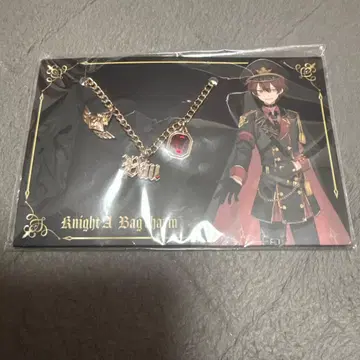 기사A 바우 백참