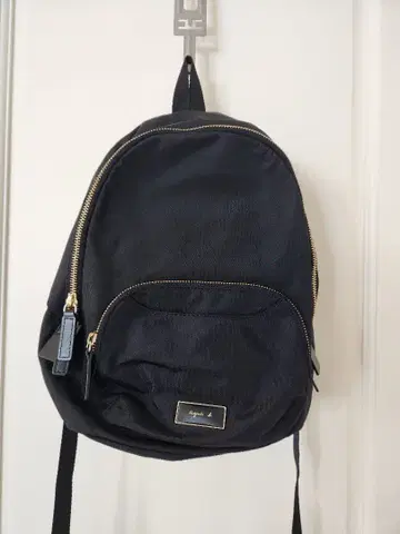 아네스 베 백팩