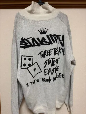 그래픽 프린트 하이넥 니트