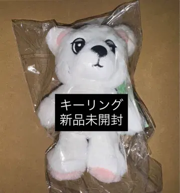 욱동 이동욱 2025 한국 팝업 봉제 인형 키링