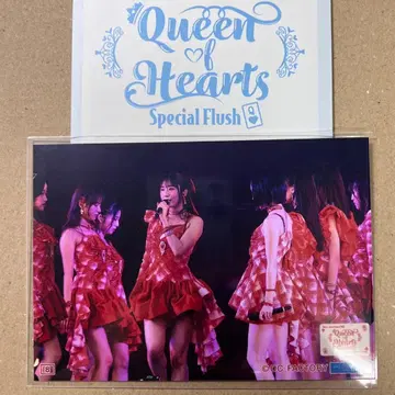 8 단하라 라이브 콜렉션 사진