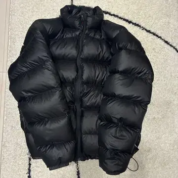 Western mountaineering 다운