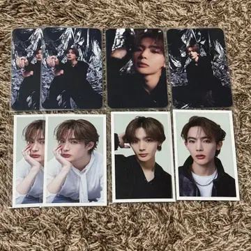 NOA PRIMARY COLORS 트레이딩 카드