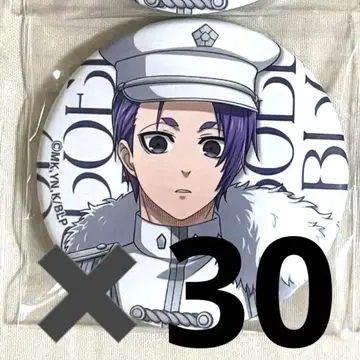 Bluemilitary 미카게 레오 캔뱃지 30개