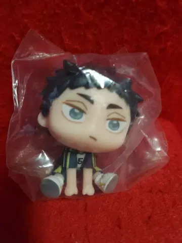 하이큐 큐룽하게 쳐다보는 포즈 아카아시 케이지 Qyurume 피규어