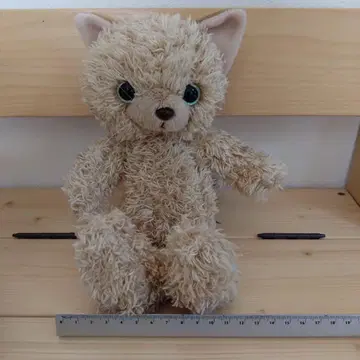 트렌드 마크 고양이 봉제 인형 웁니다.