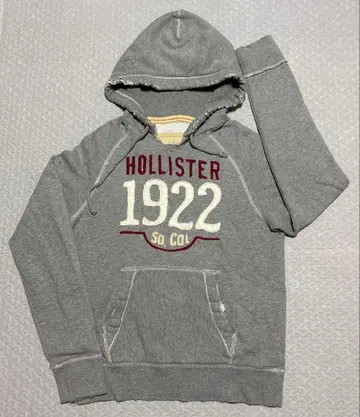홀리스터 후드티